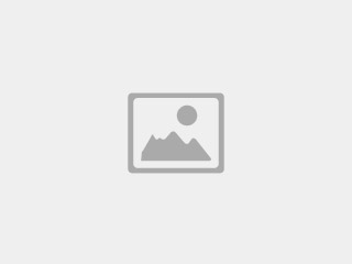 Mon Tigre Bengals – Premium Bengal Kittens